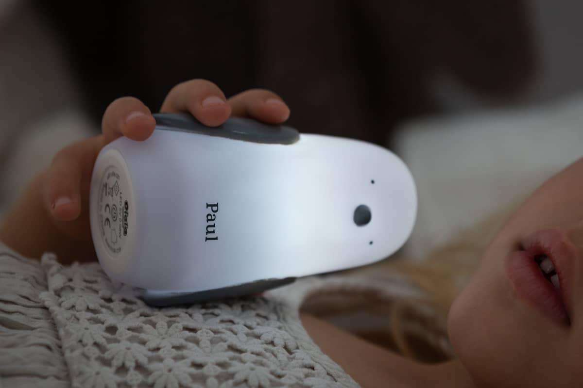 Chemin lumineux – 3 Pingouins – Image 5