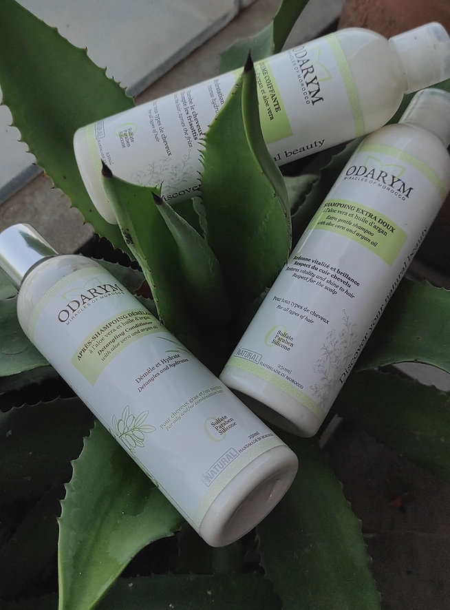 Odarym Après Shampooing Démêlant à l’Aloe Vera & Huile d’Argan 250 ml – Image 2
