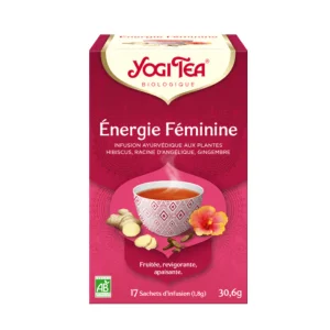 Yogi Tea Energie Féminine Infusion Ayurvédique aux Plantes Bio17x1.8g