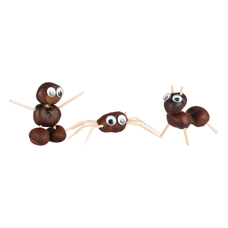 Perceuse à marron & casse-noix – Goki – Image 2