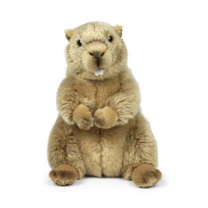 Peluche Marmotte – WWF