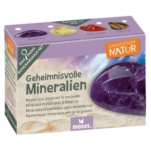 Kit à déterrer fascinant – Exploration Nature – Moses