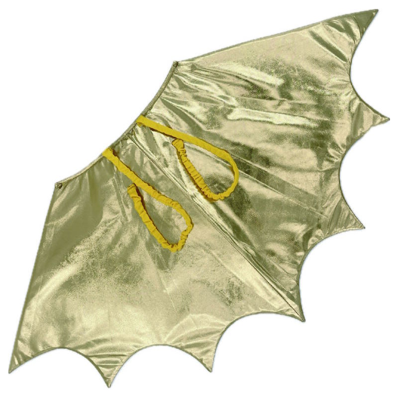 Ailes de Dragon – Déguisement Labay – Image 2