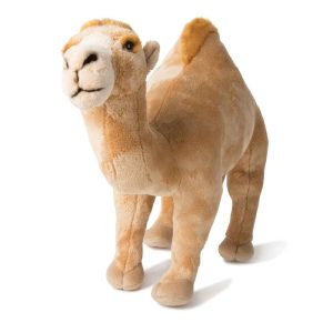 Peluche Dromadaire – WWF
