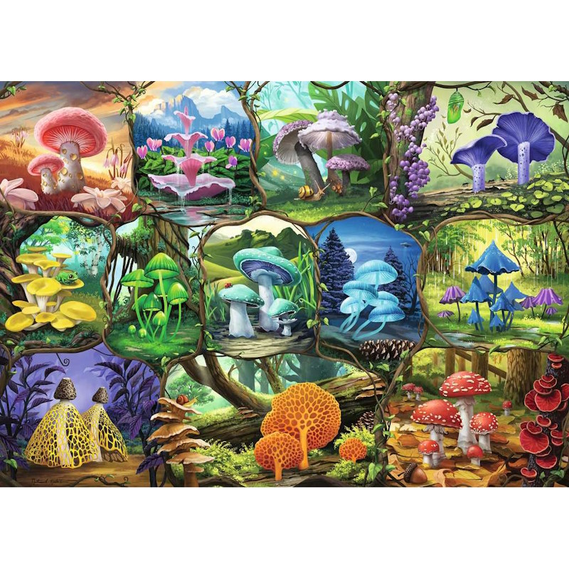 Puzzle Magnifiques champignons – 1000 pièces – Ravensburger – Image 2