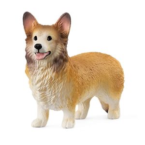 Chien Welsh Corgi –