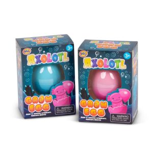 Œuf de croissance d’axolotl – One For Fun