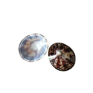 Coquillage d’allaitement – Baby Shell