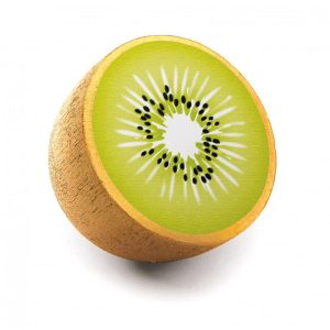 Demi Kiwi en bois – Erzi
