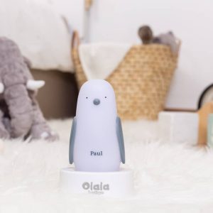 Pingouin Paul Induction