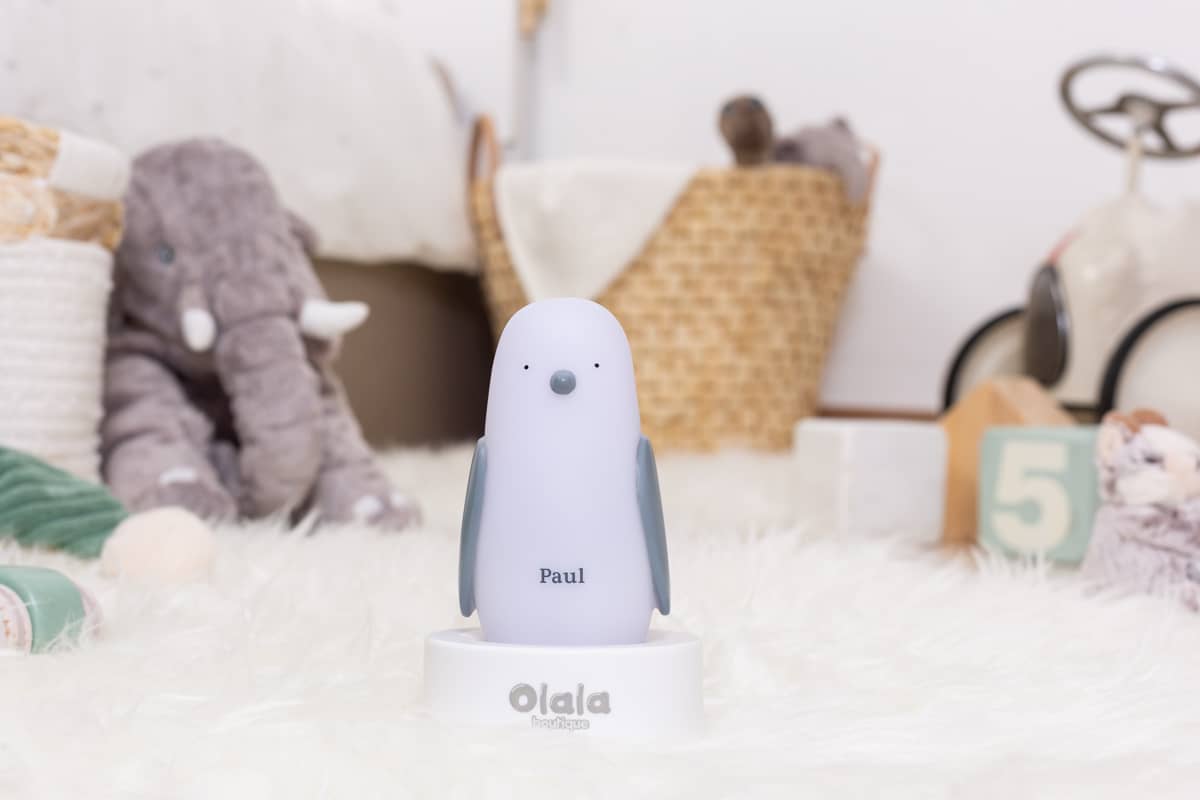 Pingouin Paul Induction