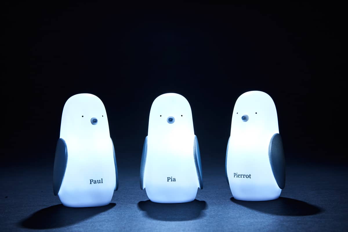 Chemin lumineux – 3 Pingouins – Image 2