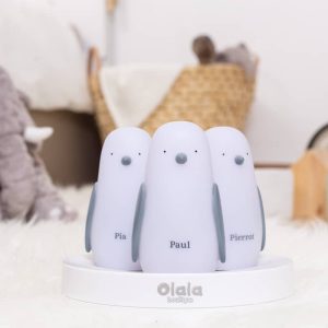 Chemin lumineux – 3 Pingouins