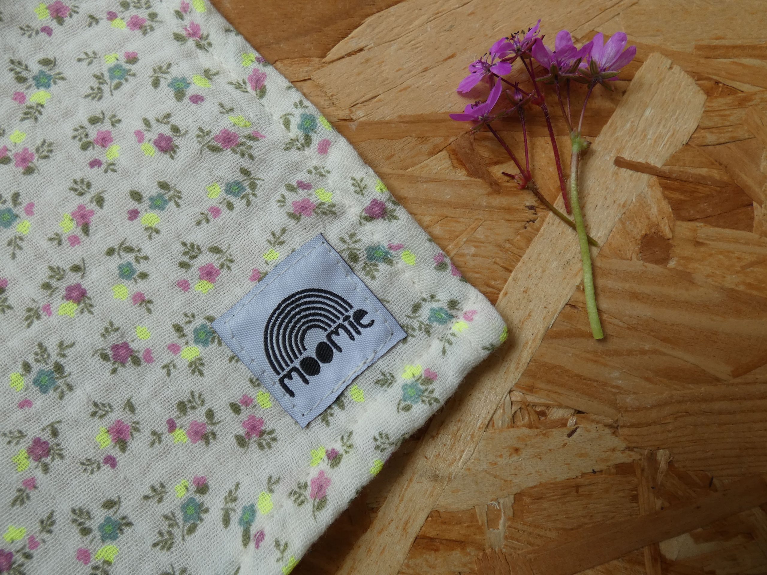 Lange Anémone – Moomie