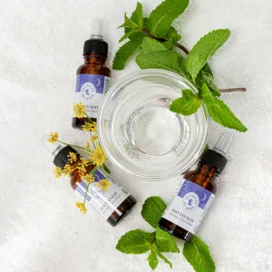 Lot de 3 – PhytoNuit