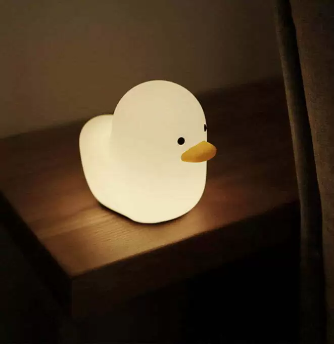 Kiki le canard – Image 5