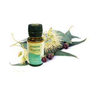 Huile Essentielle d&rsquo;Eucalyptus -10 ml- Azoor