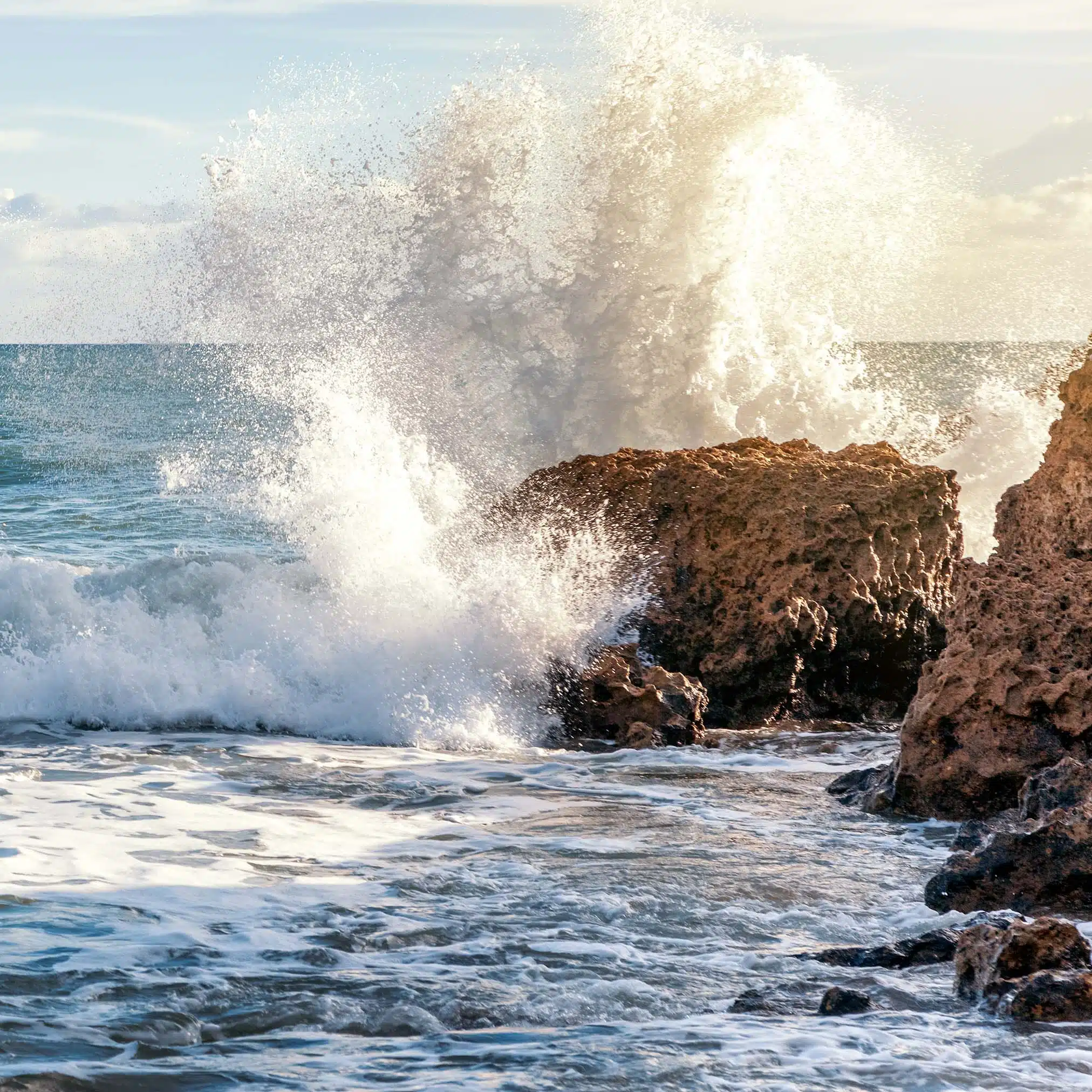 1x Magnésium Marin – Image 2