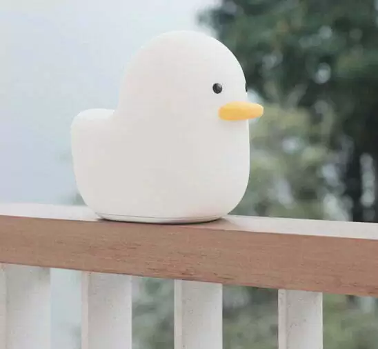 Kiki le canard – Image 6